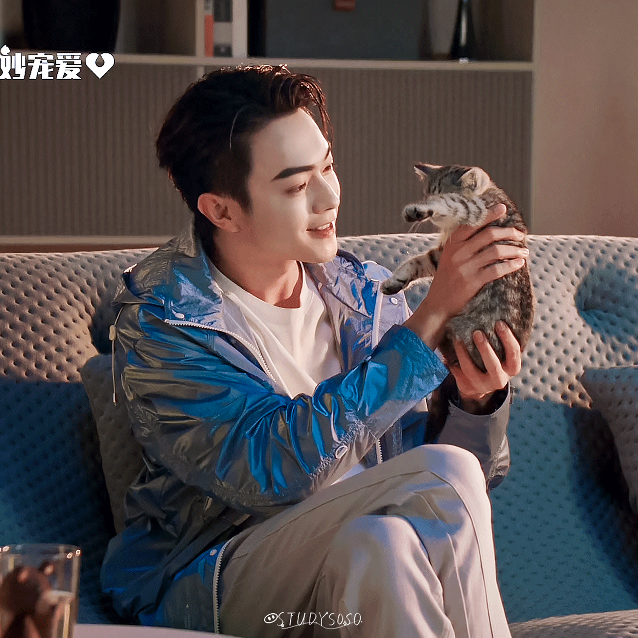 想做许凯怀里的猫!