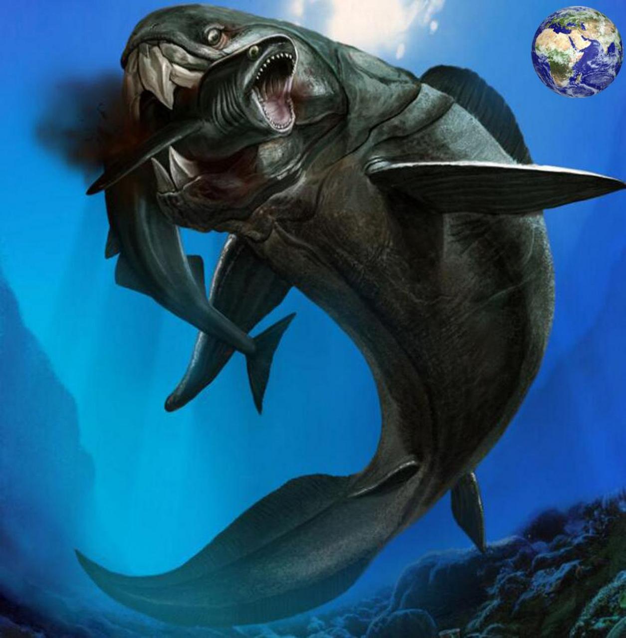 远古生物探秘——邓氏鱼 泥盆纪的海洋霸主—邓氏鱼,生活在4.4亿年-3.