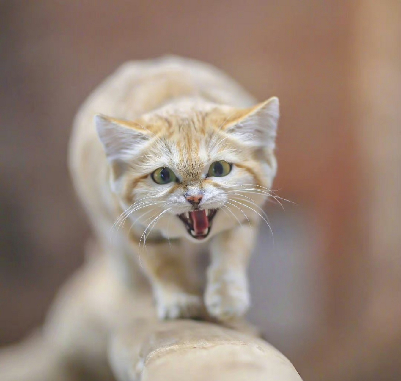 愿我们每天都能精彩度过,面向阳光,不负累,不计较