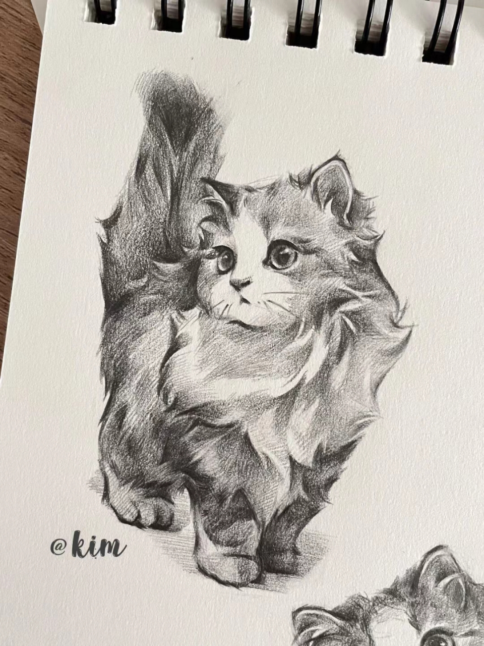 素描猫咪背影图片