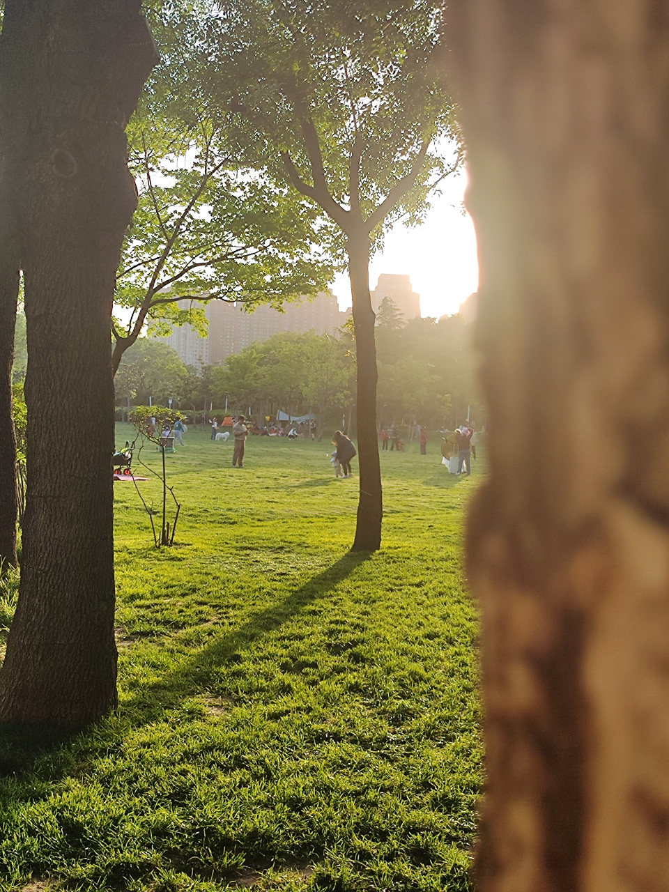 在郑州的一日行 众意路公园 二七塔  中原福塔 河南博物院  大鱼公园