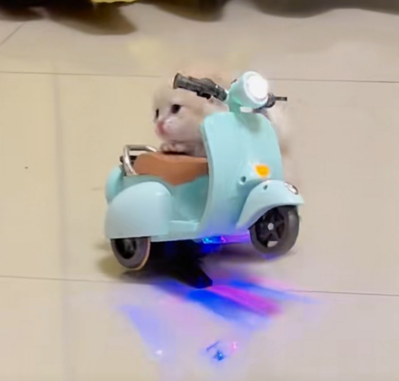 咪咪我呀也有自己的小摩托了,我的车是不是很漂亮