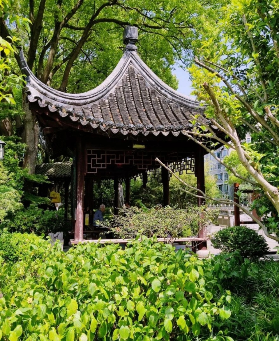 上海莘庄公园大自然奇观