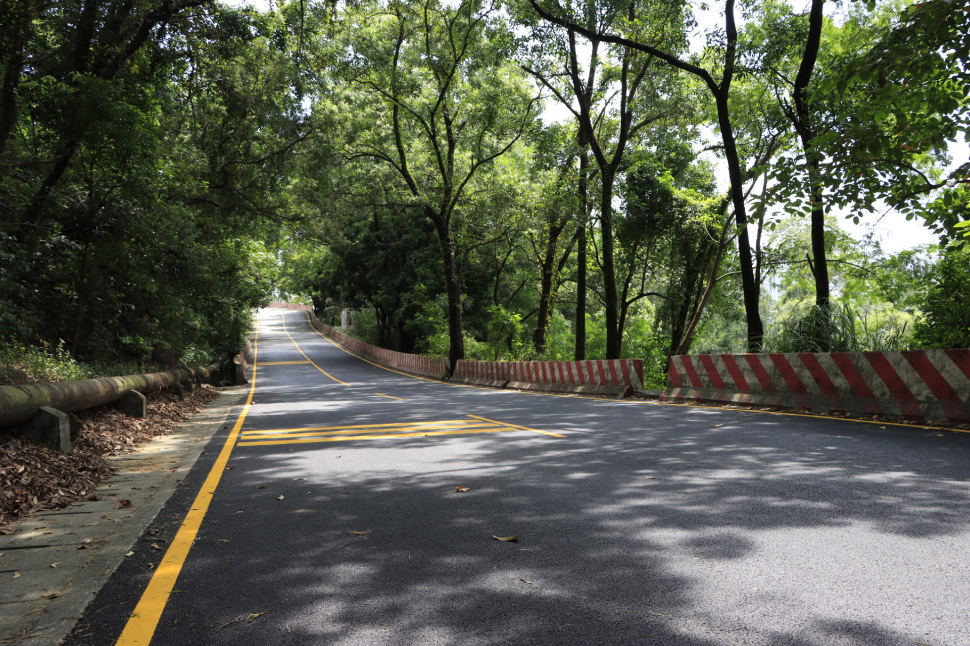 深圳盐田盘山公路风光摄影