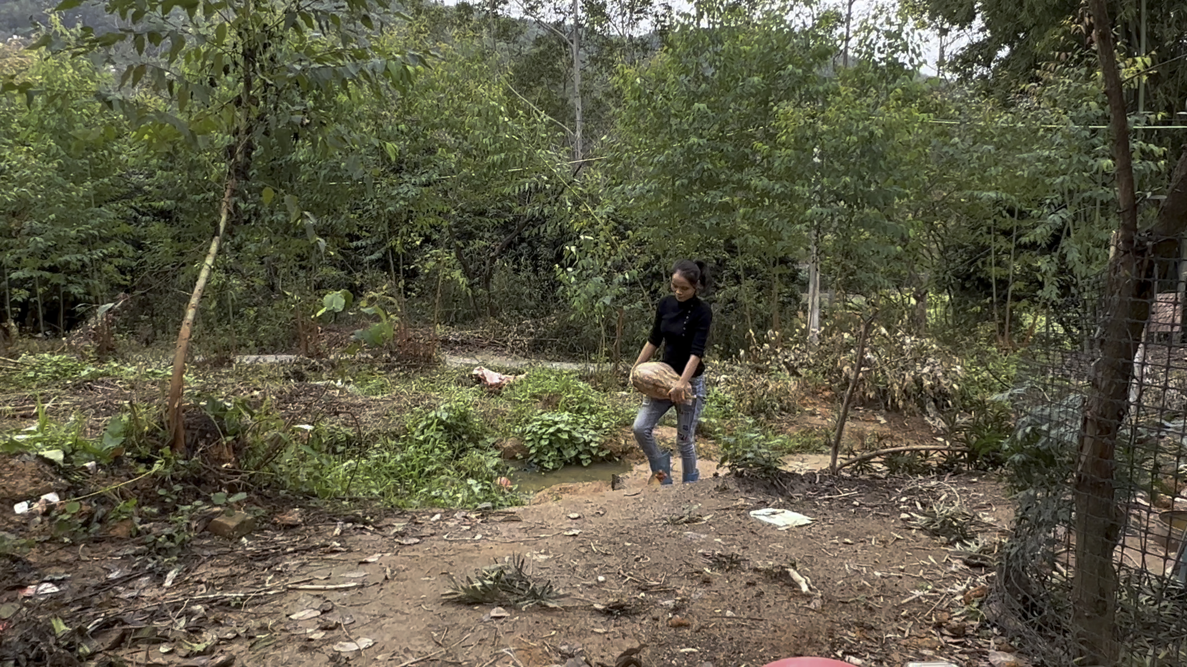 广西农村姑娘今天给孩子们做一个南瓜饼,孩子爸爸一直在唠叨