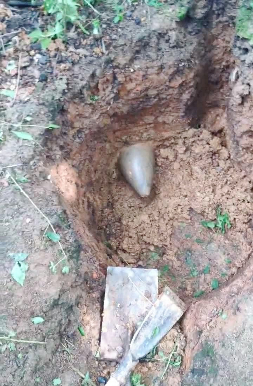 在小小的花园里面挖啊挖,我觉得我要发啊发!#趣图搞笑