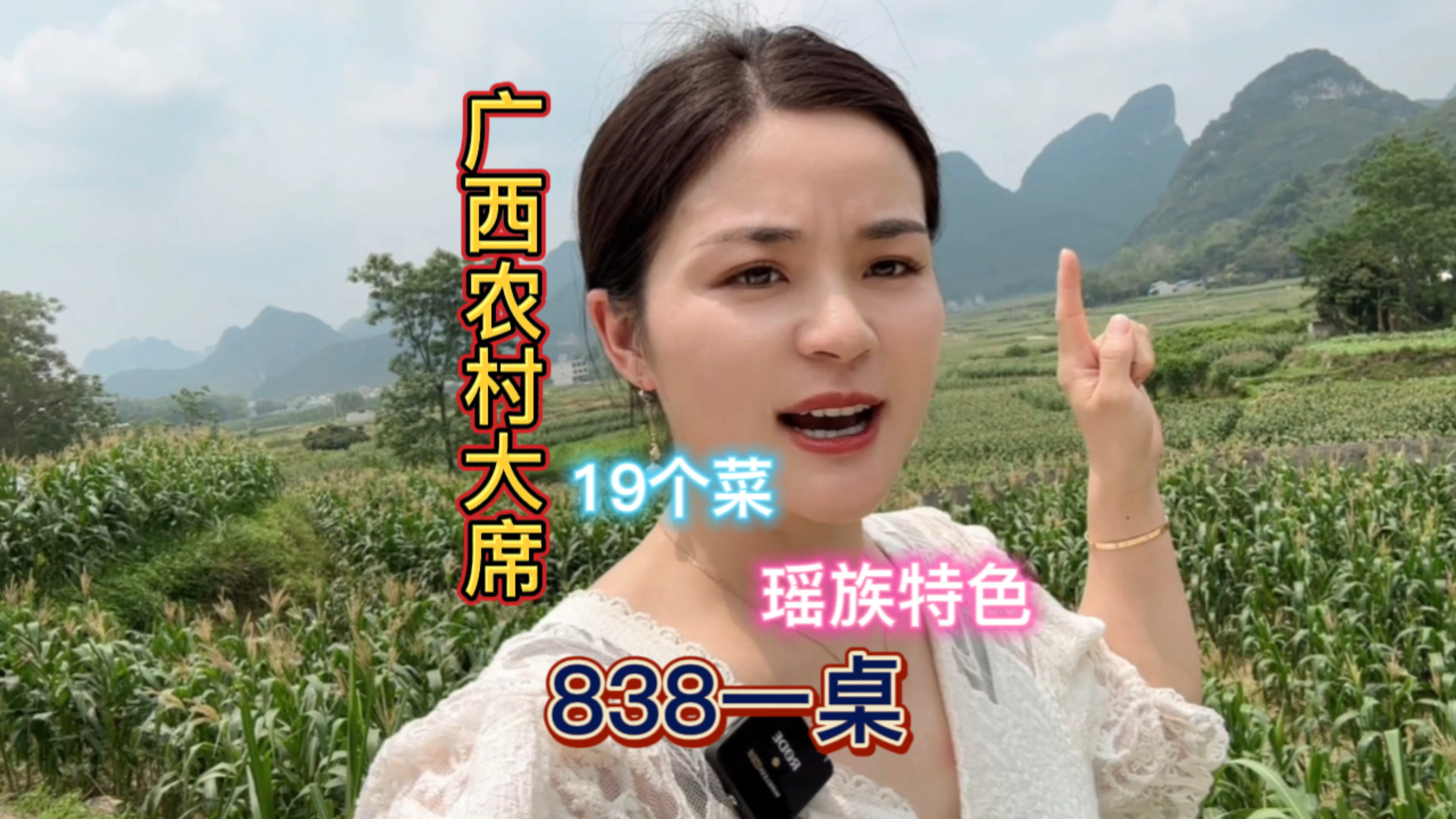 随200横跨2000公里来广西吃瑶族流水席838一桌19个菜你们觉得咋样
