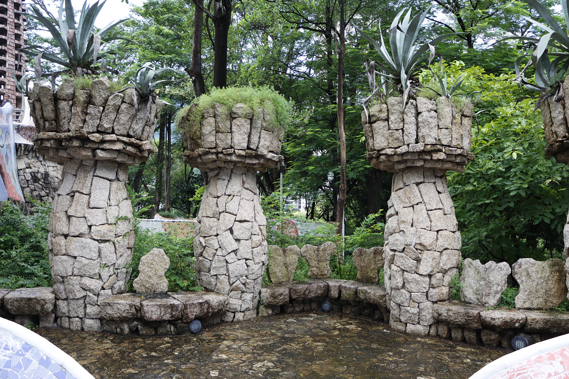 深圳盐田沙头角海山公园摄影