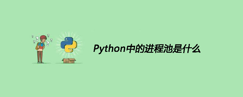 什么是 Python 中的进程池