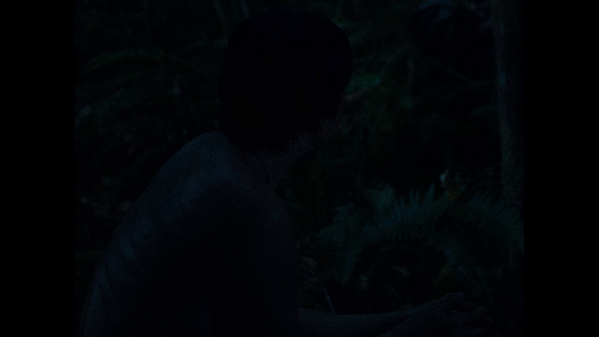 蓝光原盘&REMUX[第一头牛/初生之犊]First.Cow.2019.1080p.BluRay.AVC.DTS-HD.MA.5.1-DON 43.37GB