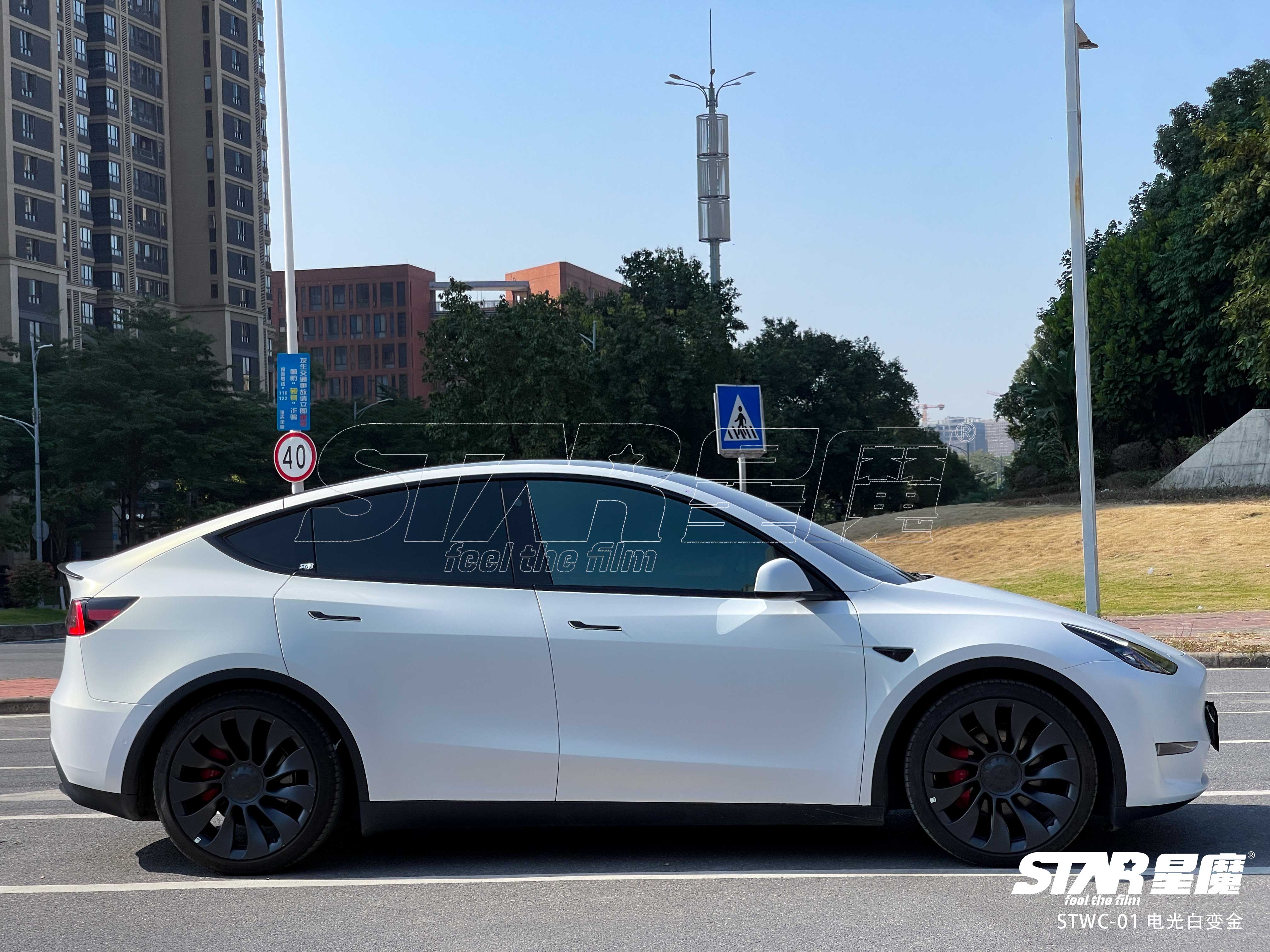 model y 电光白变金