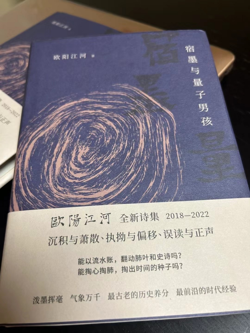 坐高铁读欧阳江河老师的诗集,隔壁座的哥们就来跟我聊天,说他也喜欢