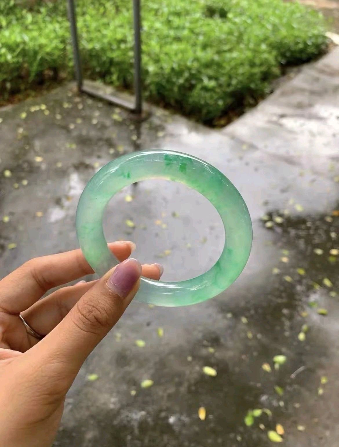 金丝阳绿翡翠手镯,干净水润,上手吸睛耐看,晶莹透亮的颜色