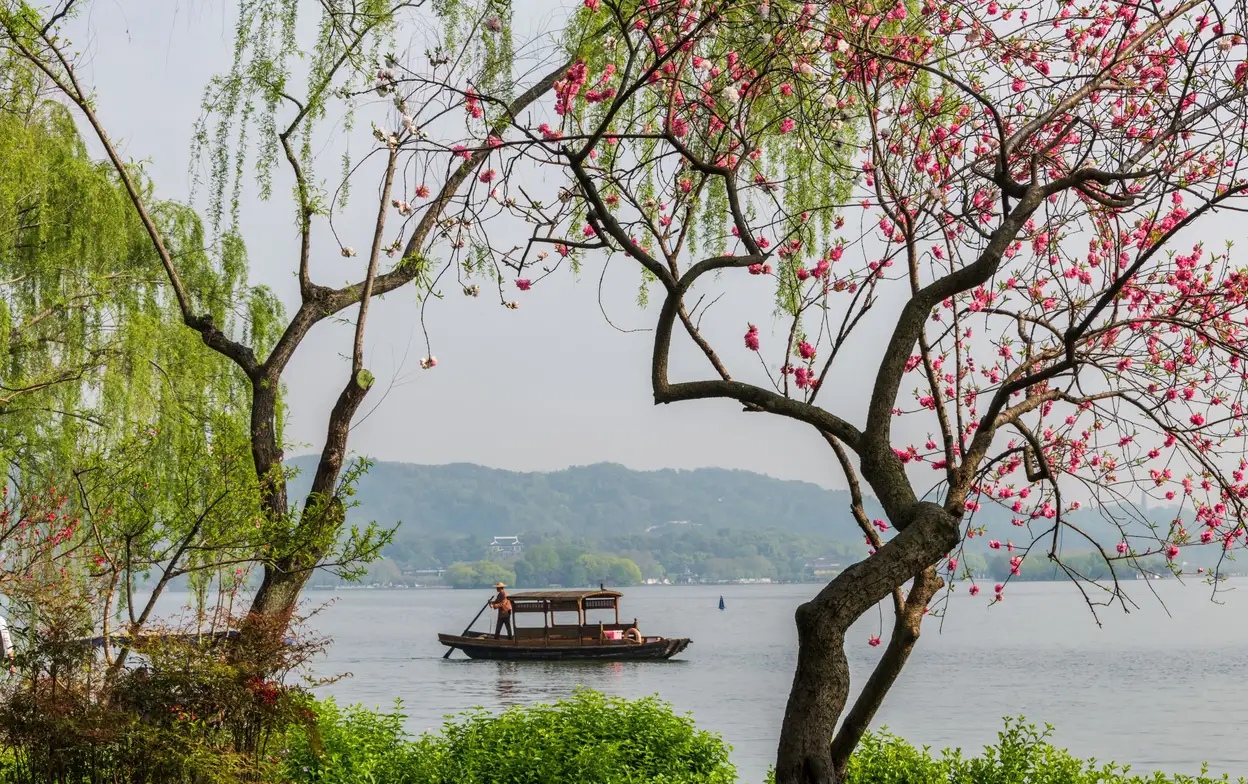 西湖的春天美景