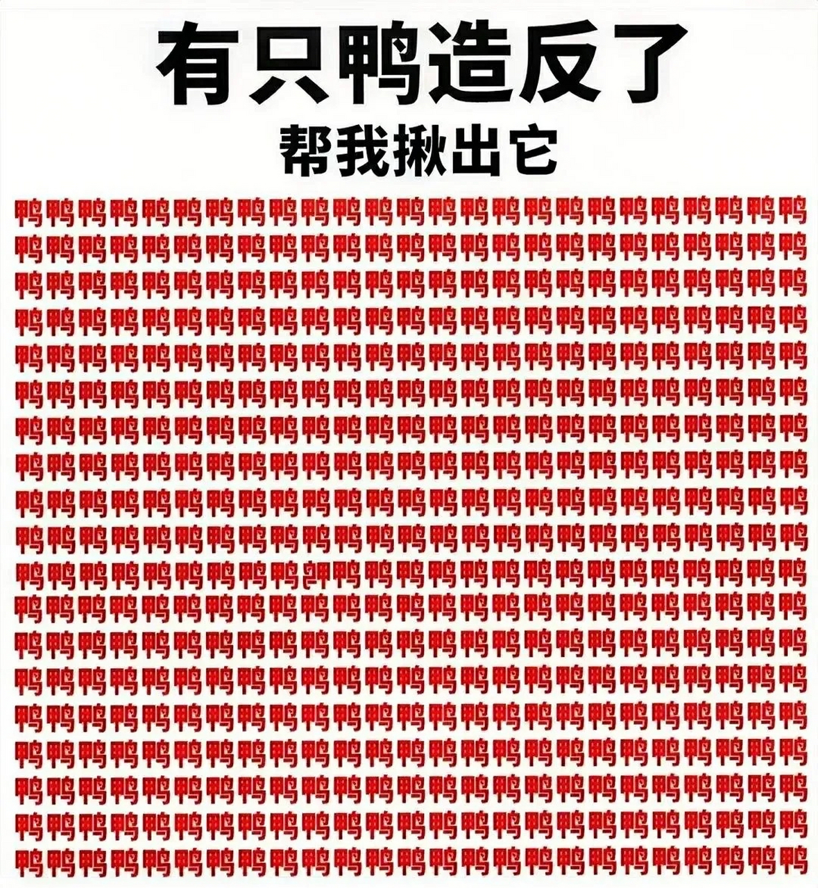 考眼力时 看你需要几秒才能找到那只"造反"鸭  #搞笑# #我要上热门