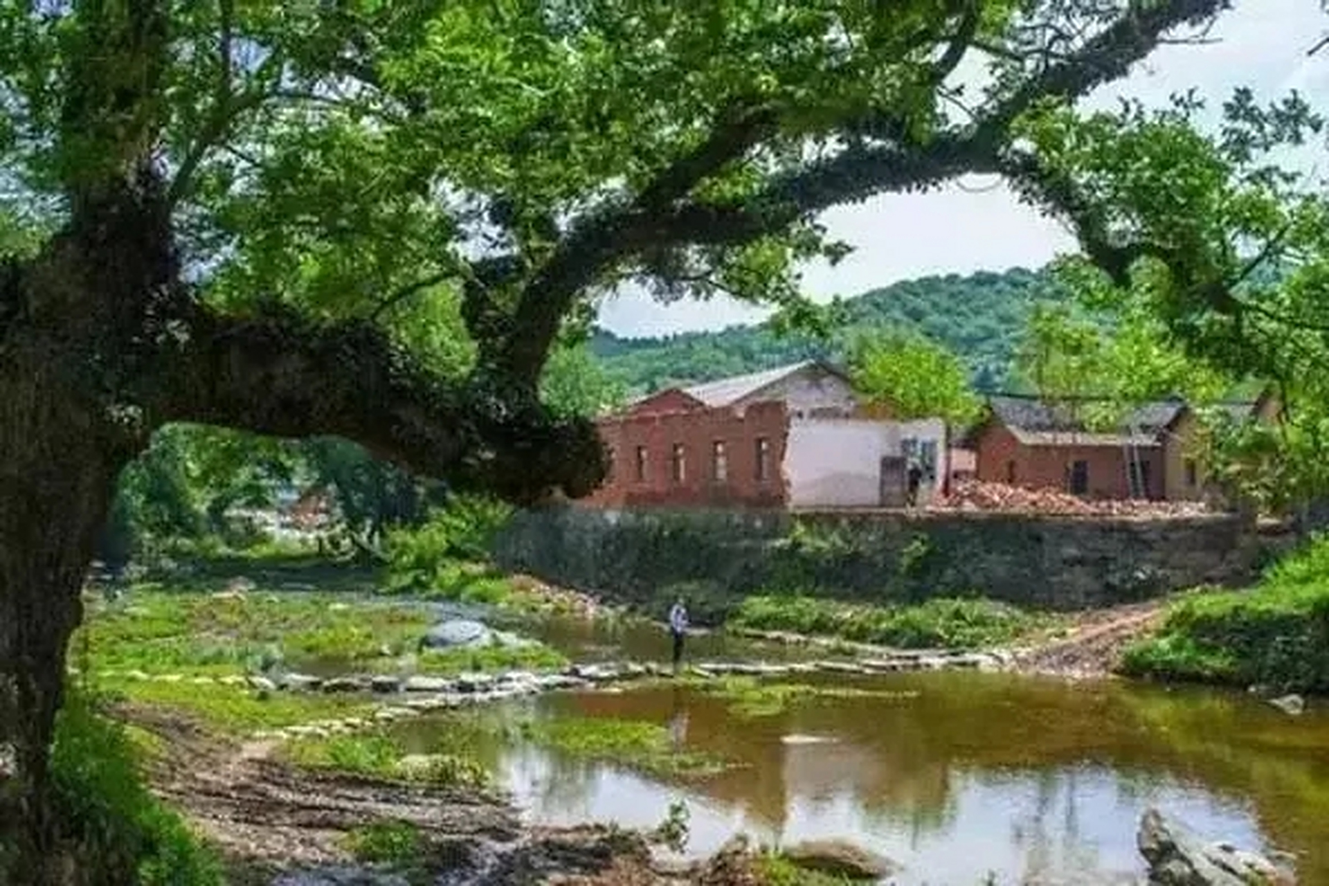 西河村位于新县周河乡西北部,该村依河而建,山环水抱,河两岸古木参天