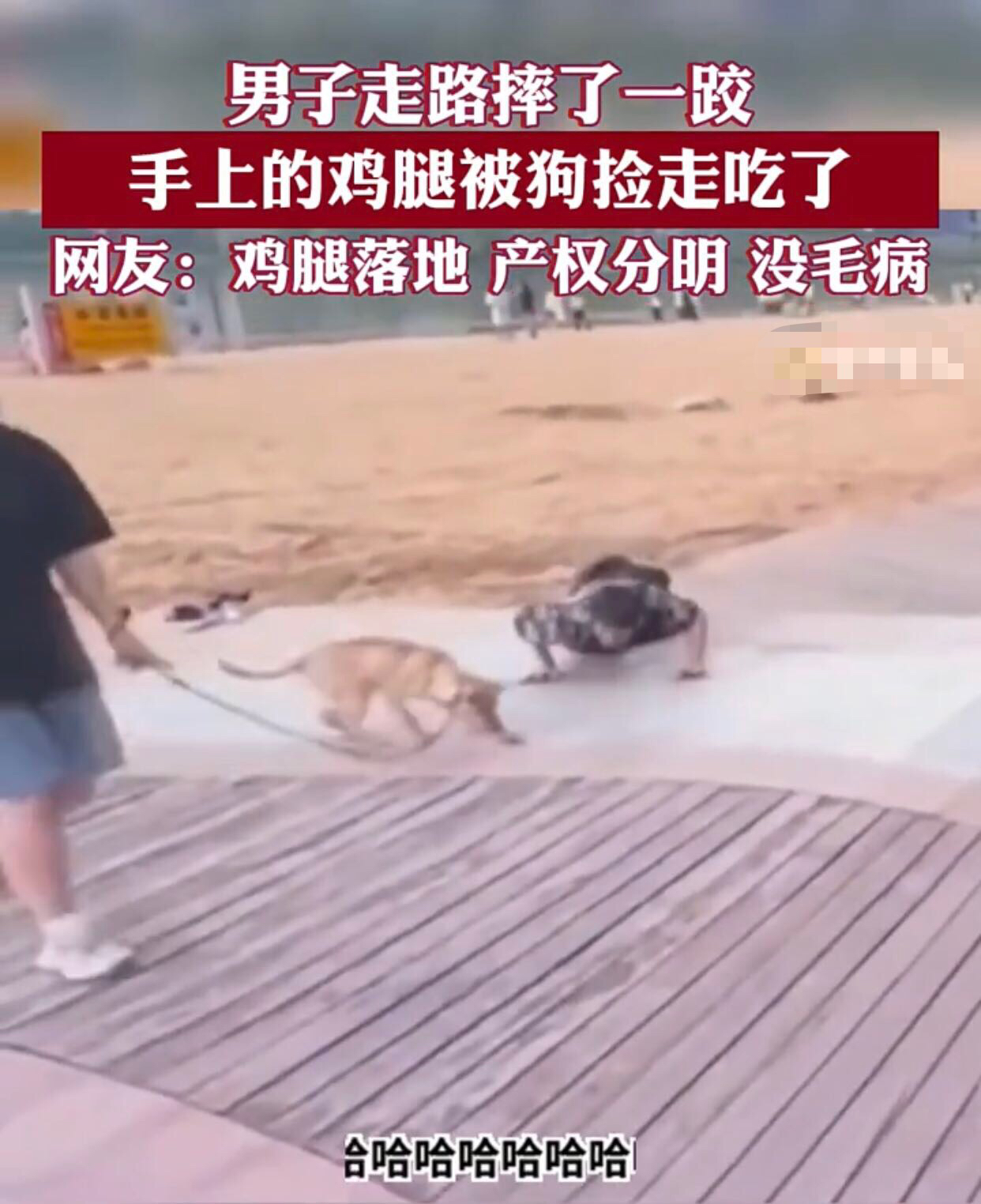 男子走路摔了一跤手上的鸡腿被狗捡走吃了趣图搞笑 狗狗