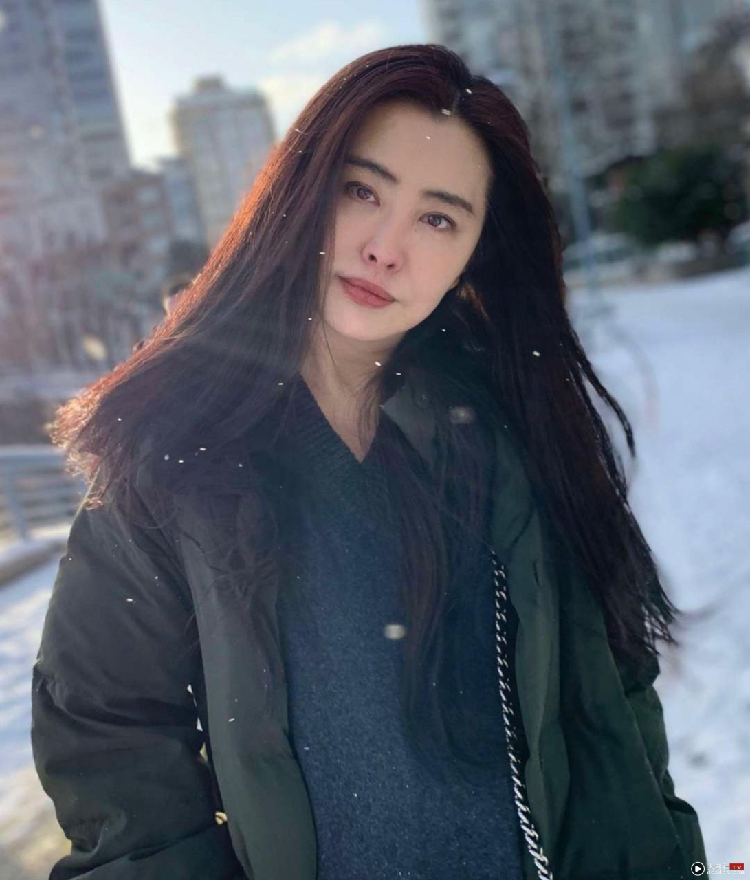 王祖贤年轻时图片