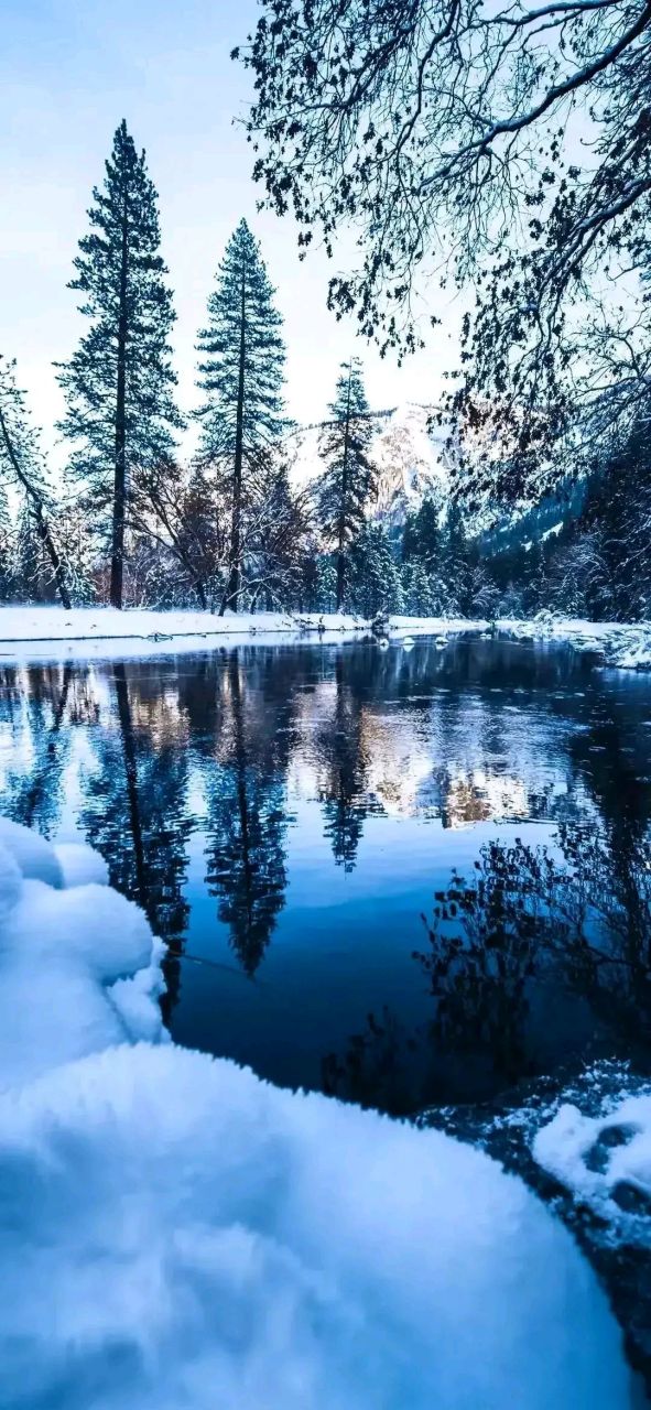 壁纸# #风景# 倒影