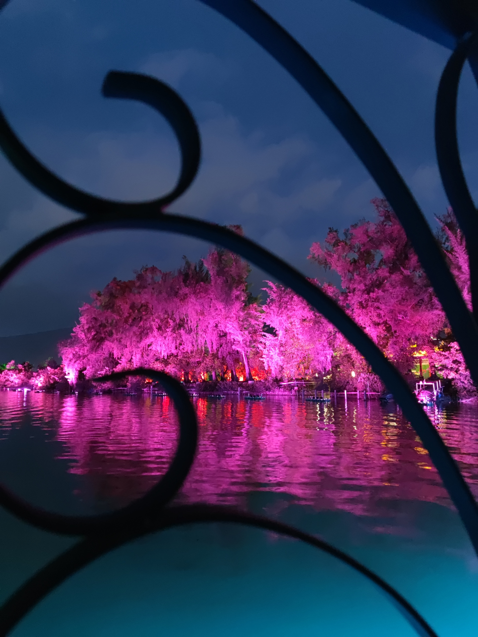 星湖夜景# 肇庆星湖夜景,七彩斑斓,迷人灯色,远看太阳岛,灯光变幻时