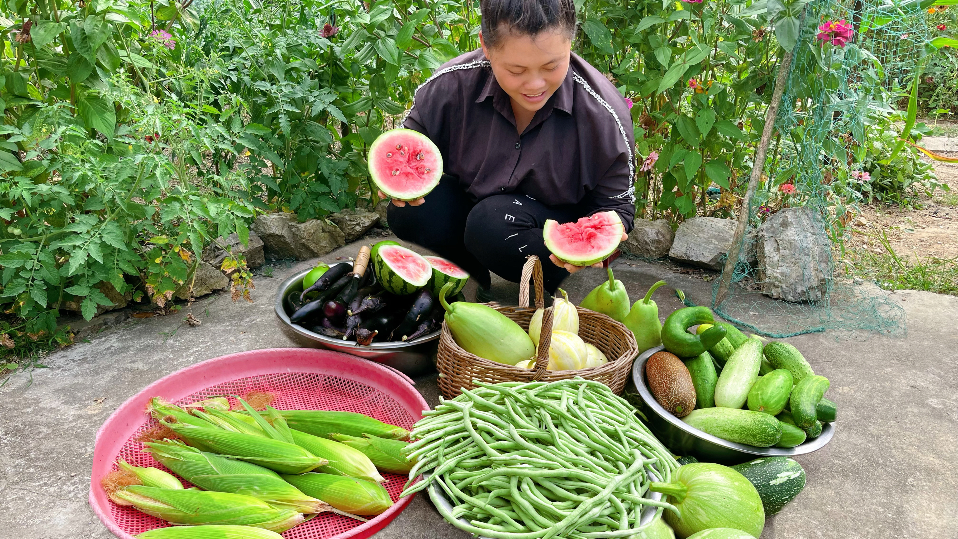 今天带大家去摘各种瓜果蔬菜