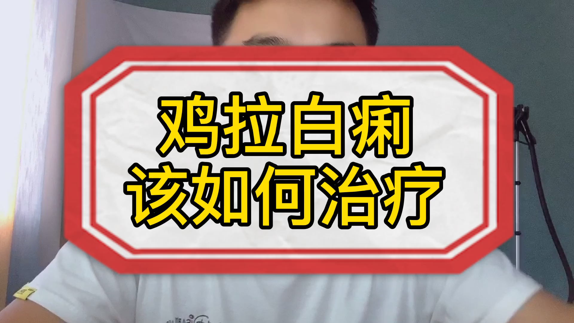 鸡拉白痢是什么问题?吃什么药呢?