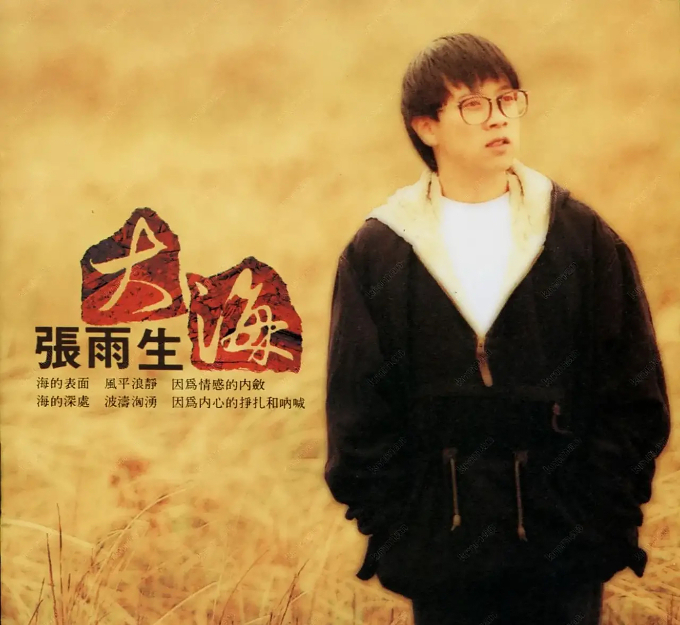 张雨生1997年去世后,女友黄惠玲并没有卖掉他们在台湾淡水的别墅,而是