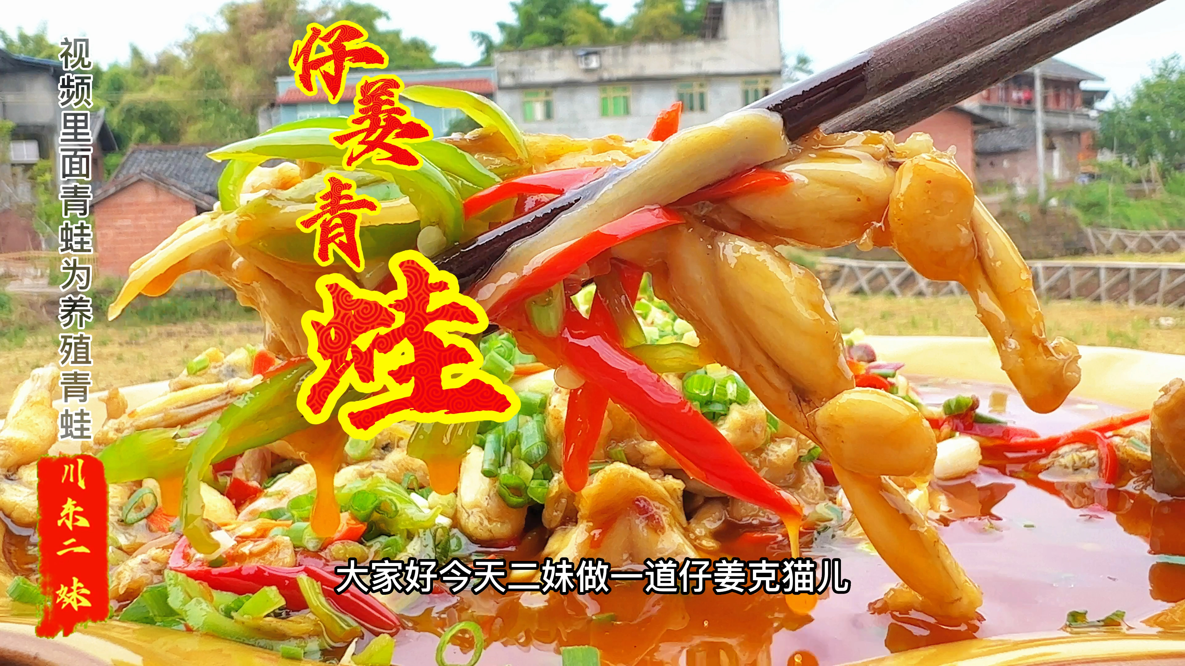 二妹做的仔姜青蛙肉嫩味足,一次做2斤不够吃,吃一次就忘不了
