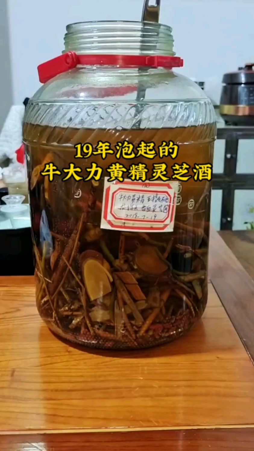 2019年泡的牛大力黃精靈芝酒,4年時間的沉澱,入口順入心和!雄起