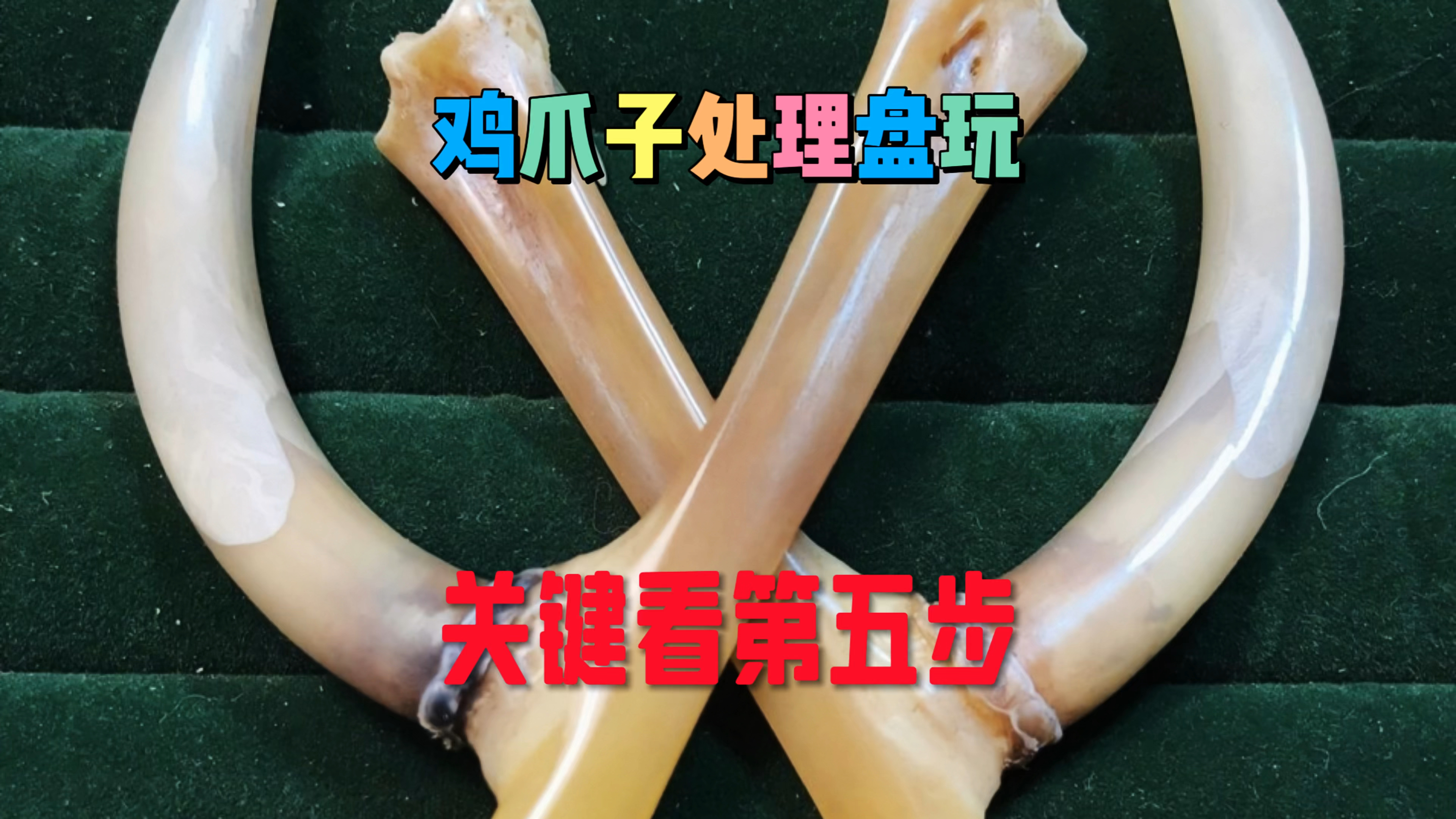 文玩鸡爪子处理盘玩
