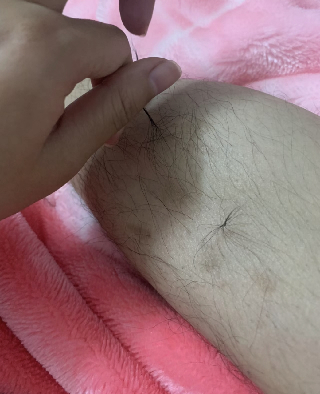 网友:给男朋友的腿毛扎小辫,看电视无聊的时候搓的小辫,你们男朋友也