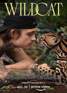 野猫Wildcat()