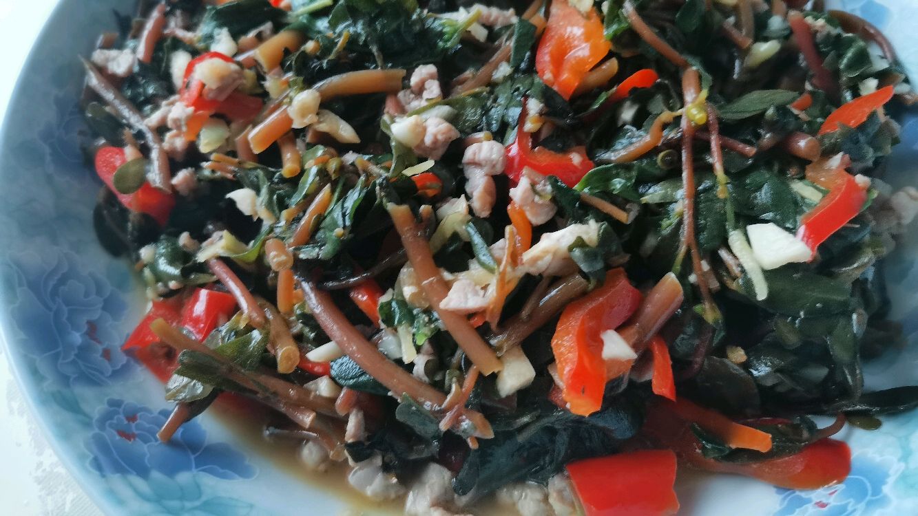 保健菜品:马齿苋炒肉末