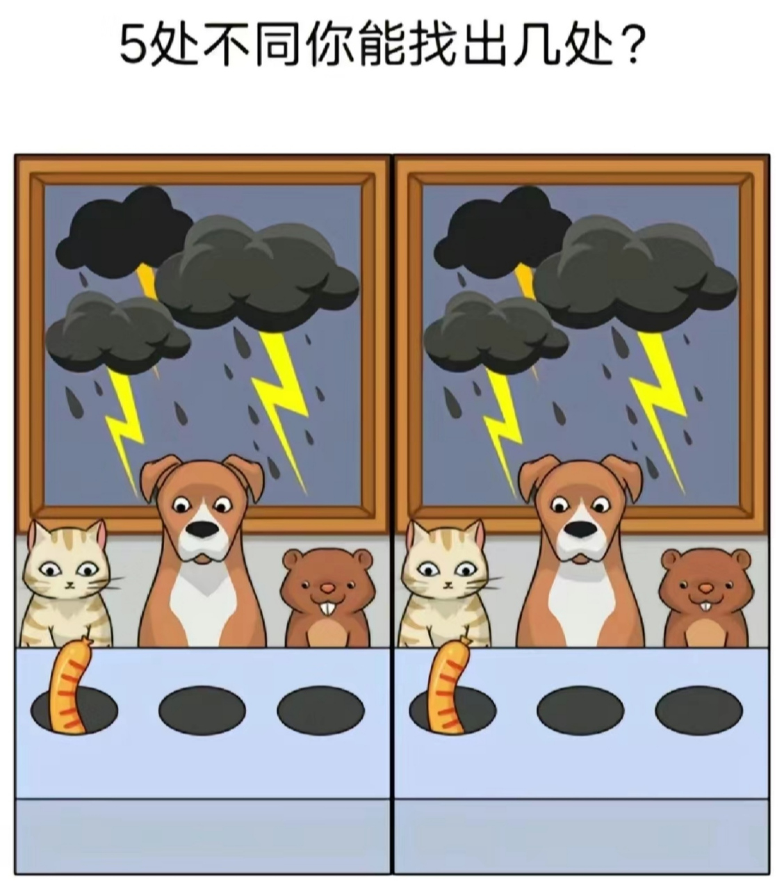 哪些小动物能预知下雨图片