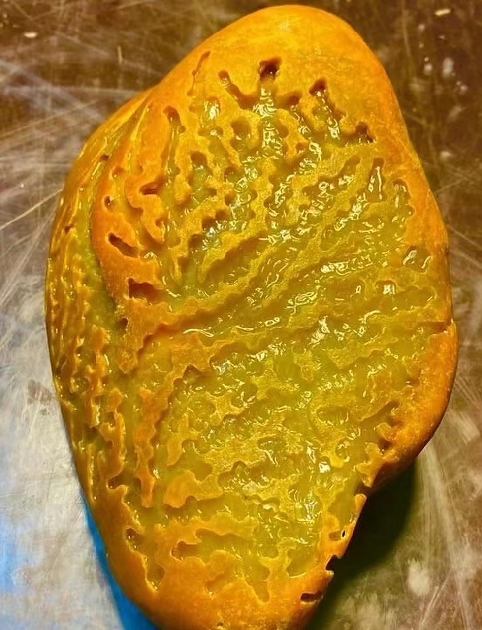 点击头像看直播# 大马坎水石开窗冰种黄翡手镯料 整个满肉了,压灯全