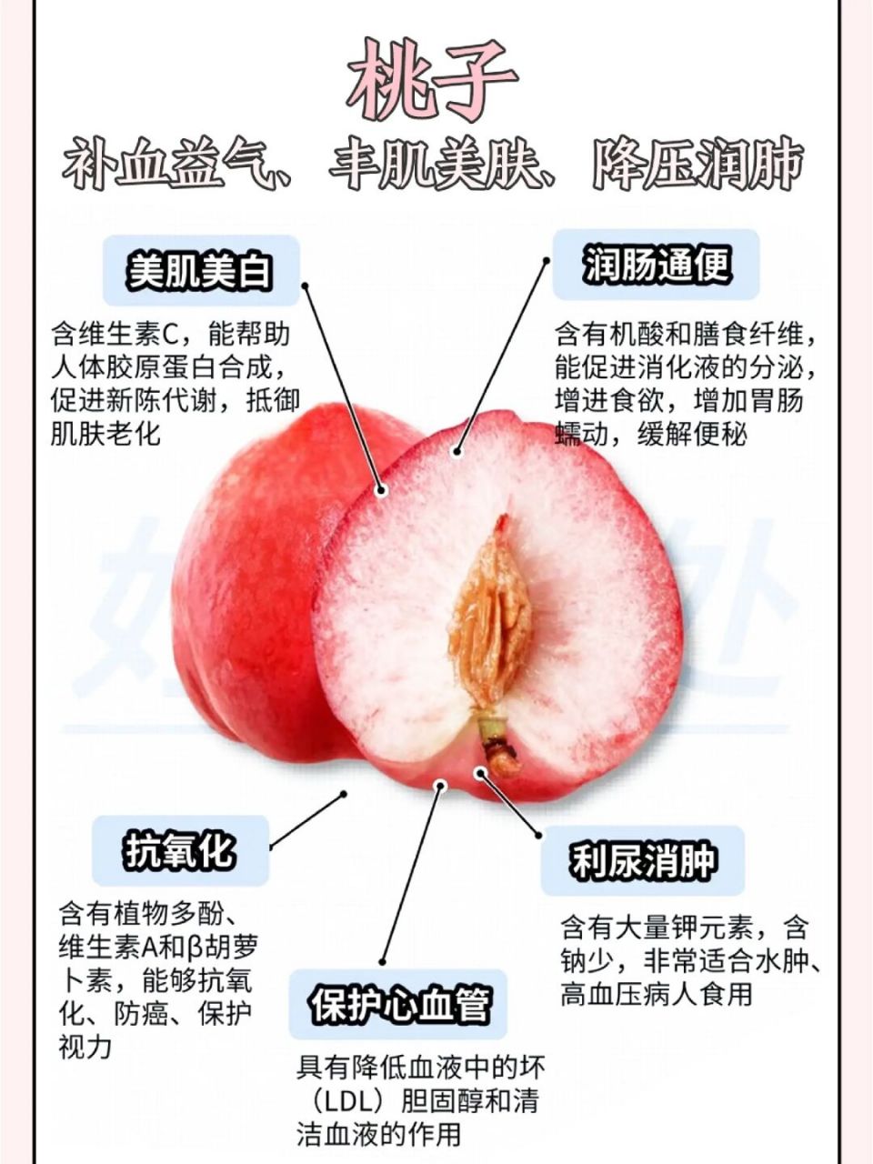 常见桃子的名称和特点(一)