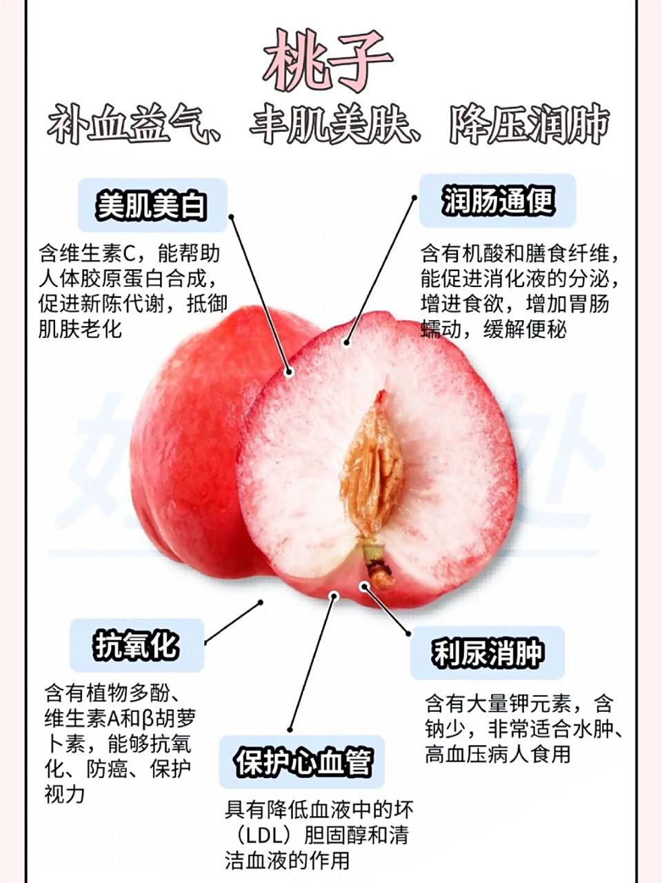 常见桃子的名称和特点(一)