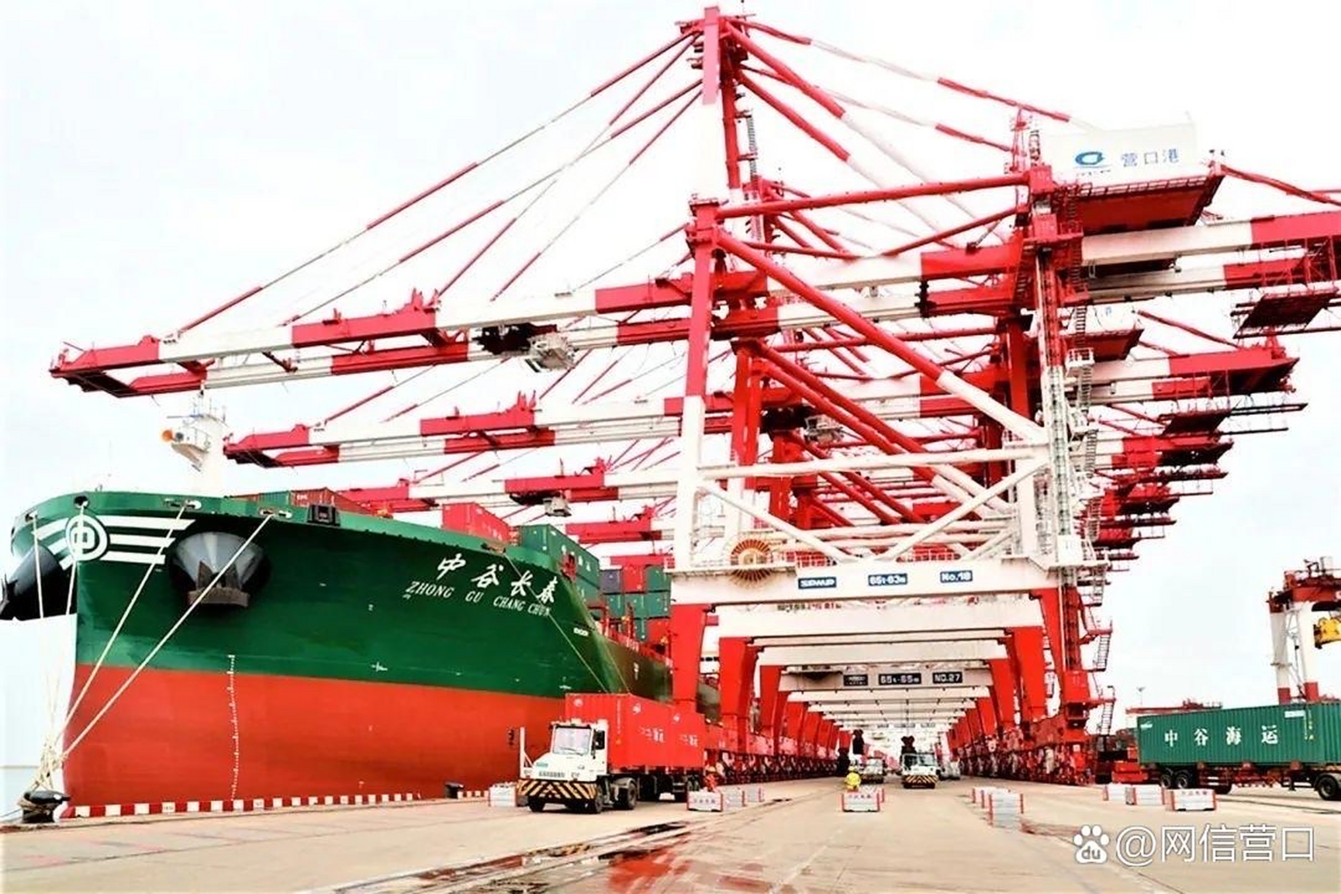 贯彻二十大辽宁在行动# #美好辽宁欢迎您# 营口港集装箱码头公司