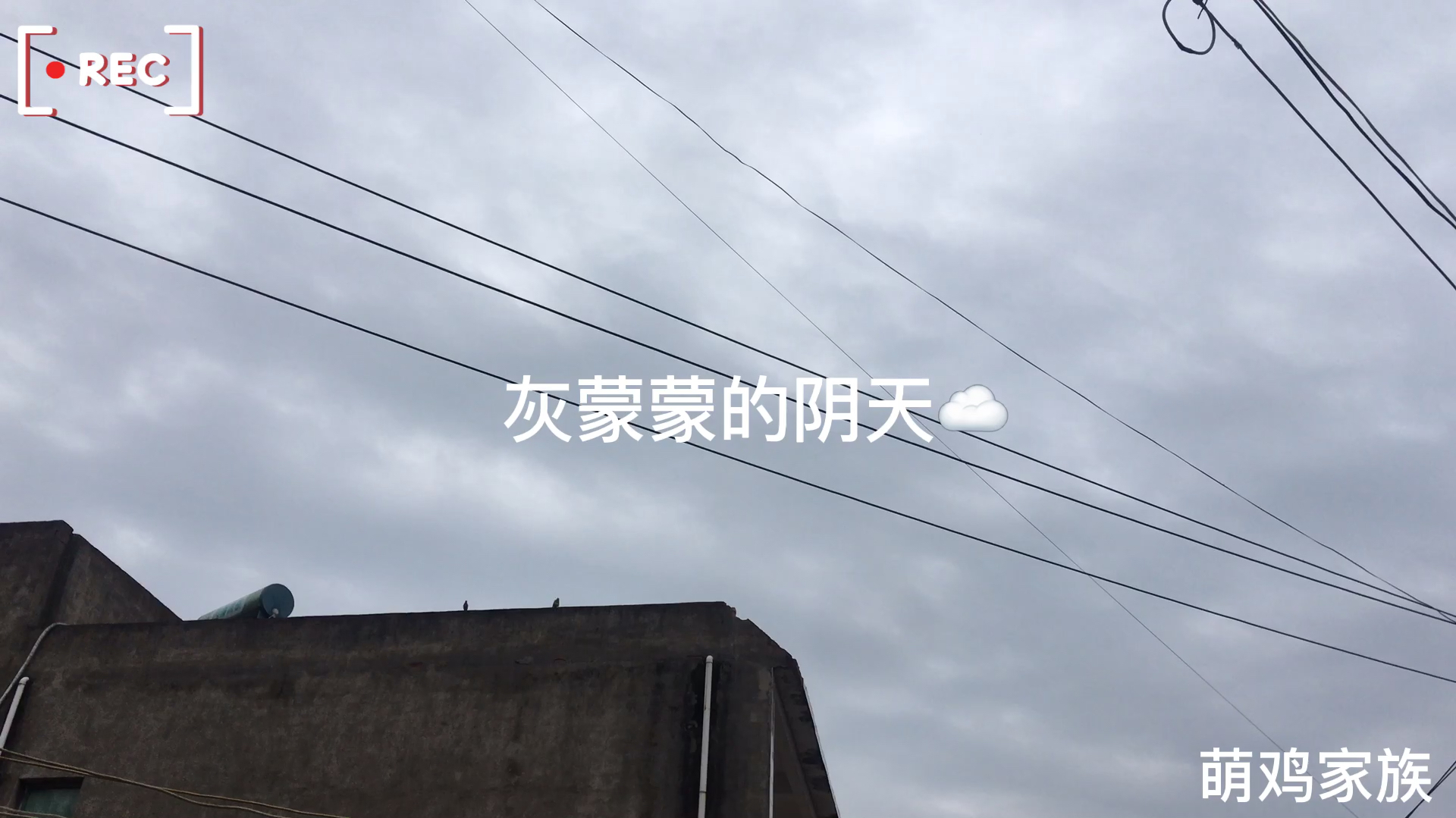 一顿平平常常的晚饭 就足以慰藉一天的疲倦
