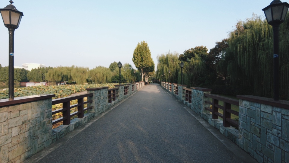 靖江市马洲公园