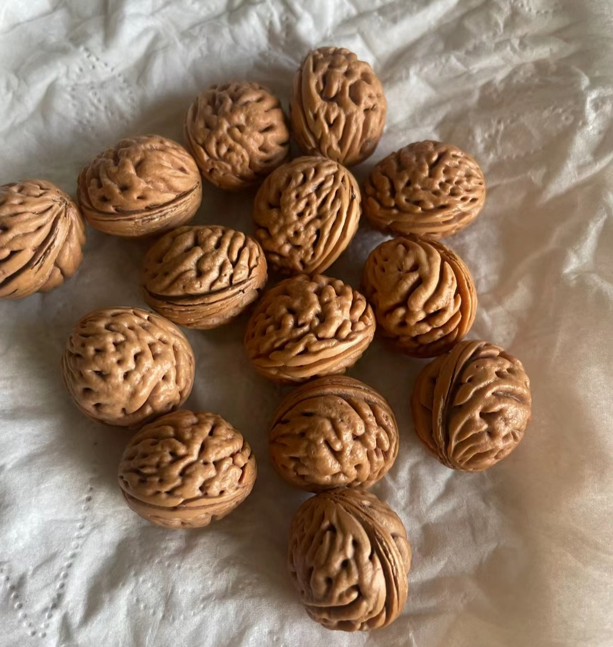 野生山桃,有人留核,有人要肉,你会怎么选?