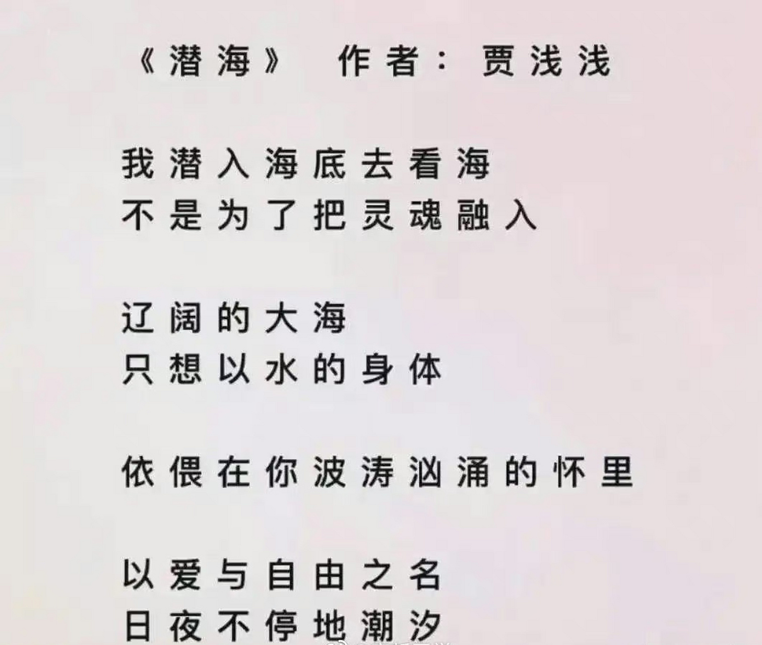 贾浅浅的作品图片