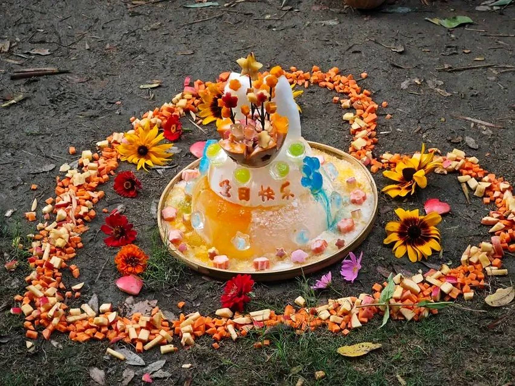 三岁了,从此花叶姐弟就是三岁的宝宝啦,花花还是个3岁还能近身的乖