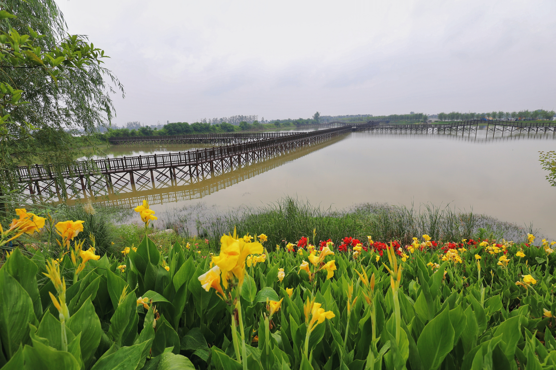 向阳湖湿地公园图片