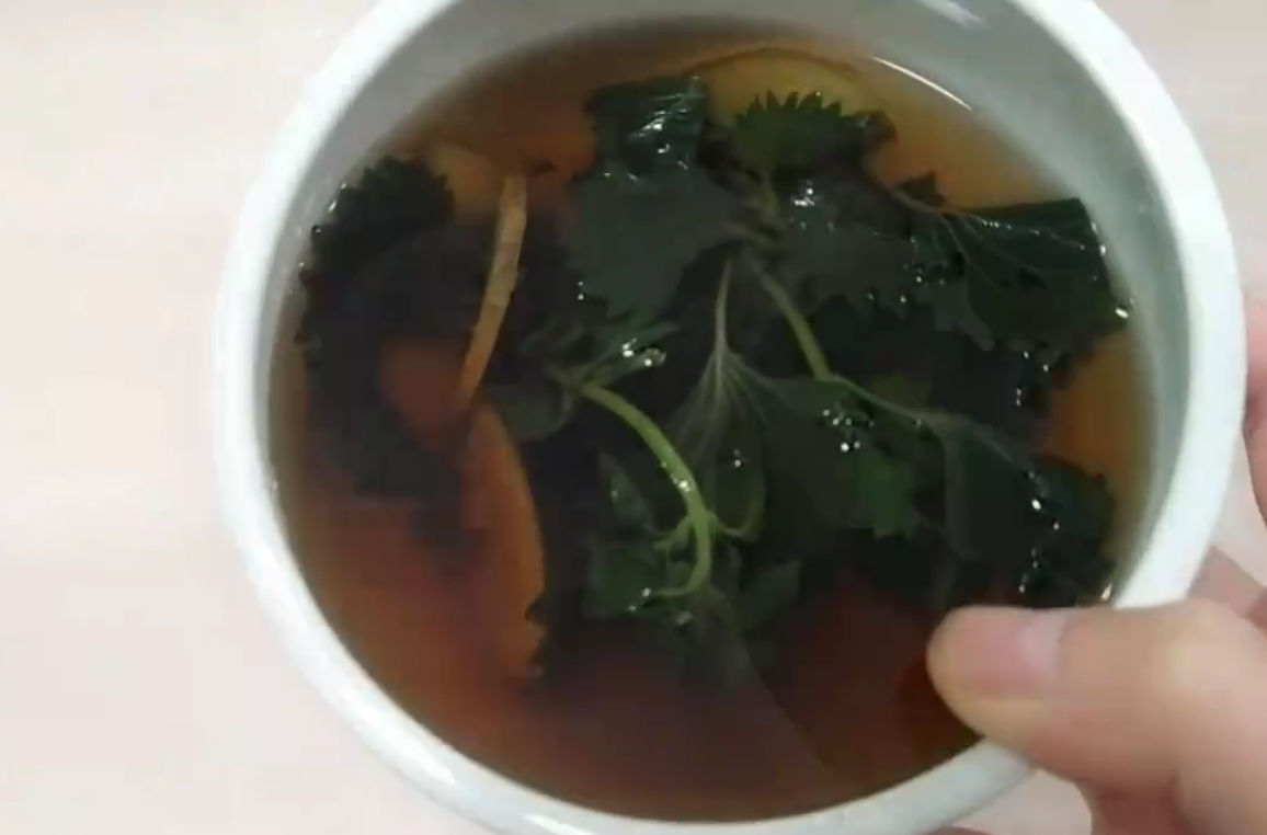 紫苏加生姜泡水,老一辈人留下来的方法,解决很多男女烦恼