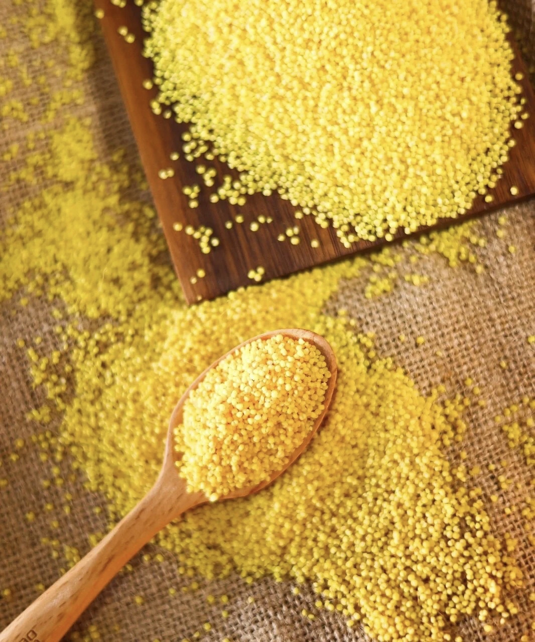 #全民贺春过兔年# 内蒙古赤峰敖汉小米好吃不贵,是老人孩子孕妇首选,