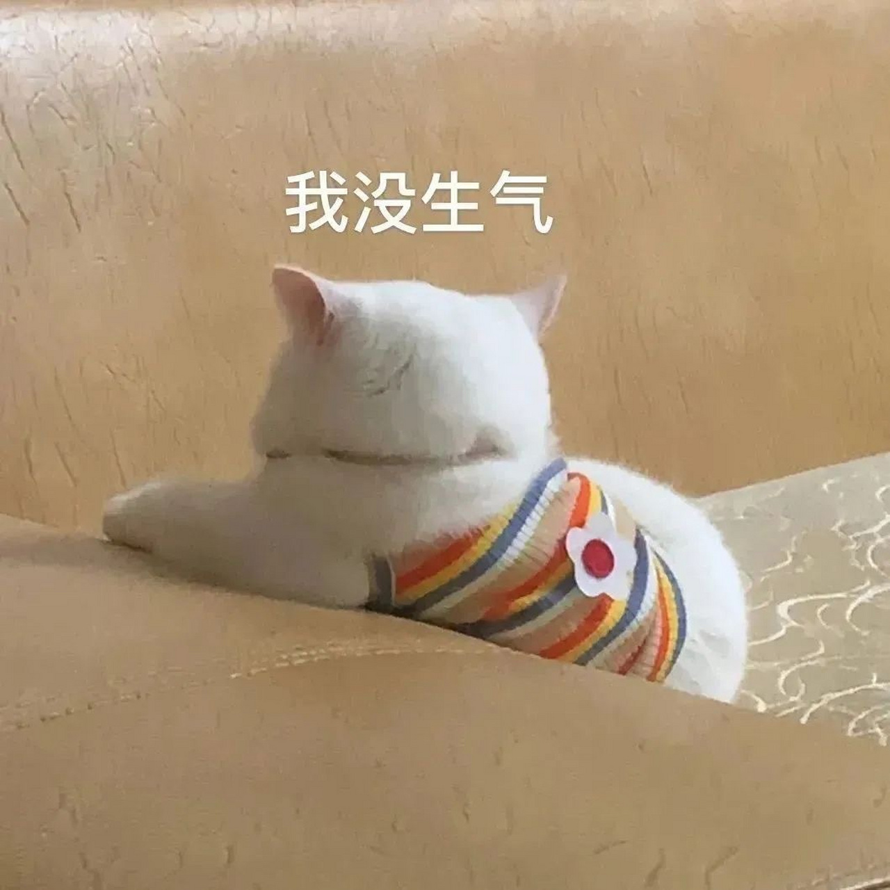 可爱有趣的wechat聊天表情包#表情包