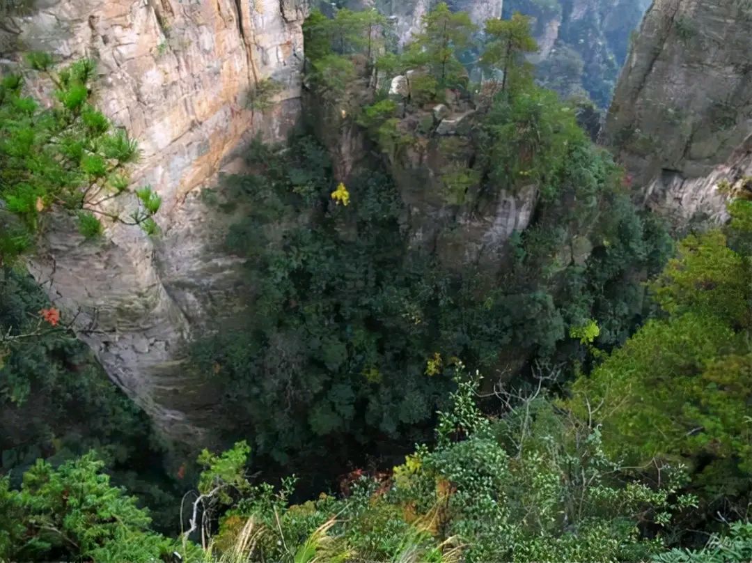 张家界神堂湾崖底怪声不断!2012年,科考队绳降650米寻找真相