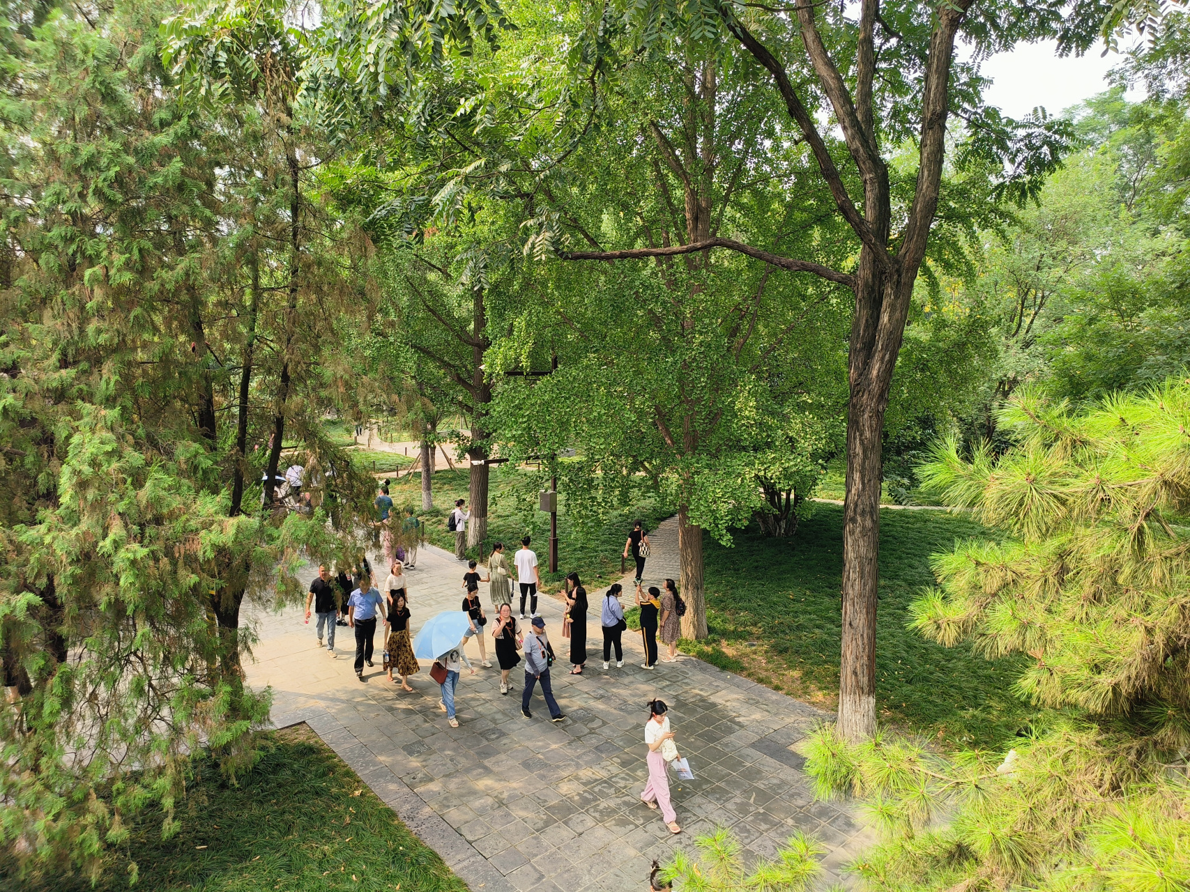 西安市小雁塔景区内的白衣阁松柏环绕,四周芳草萋萋,一幅初秋盛景