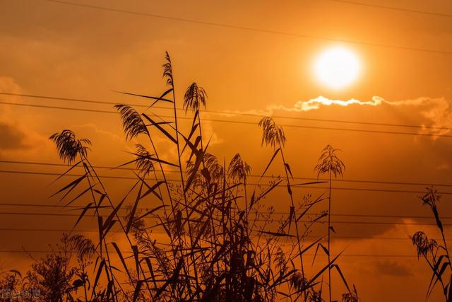 狩受不亲第43话 漫画韩漫 全文免费在线阅读 幻想漫画 狩受不亲第43话 漫画韩漫 全文免费在线阅读 幻想漫画